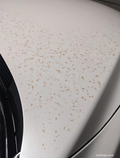 Svelati i 5 principali contaminanti della vernice per auto:consigli degli esperti per preservare la finitura del tuo veicolo 
