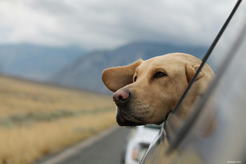 Quanto spesso dovresti lavare la tua auto? Guida esperta per una manutenzione ottimale 