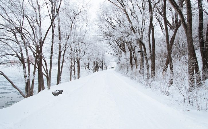 Guida sicura su strade ghiacciate:consigli degli esperti per i viaggi invernali 