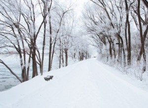 Guida sicura su strade ghiacciate:consigli degli esperti per i viaggi invernali 