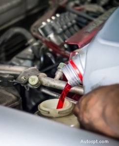 Riparazione esperta di trasmissioni automatiche a Tallahassee, Florida – Servizio AAMCO affidabile 