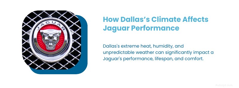 Guida definitiva alla manutenzione Jaguar per Dallas, Texas:consigli degli esperti e assistenza locale 