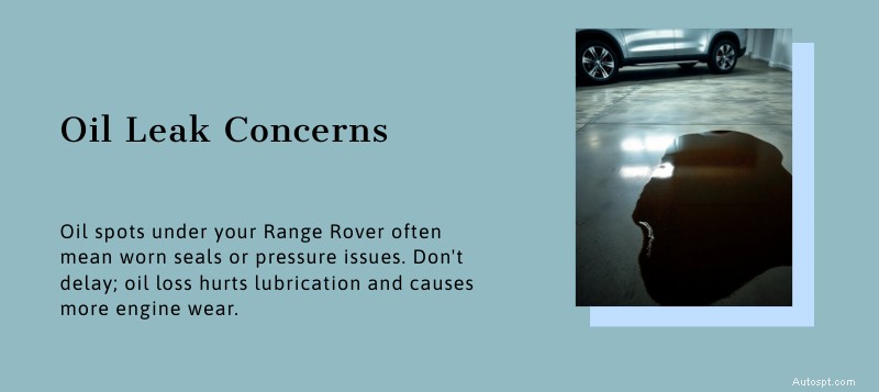 Riparazione della Range Rover Dallas:esperti fidati per problemi comuni e servizio premium 