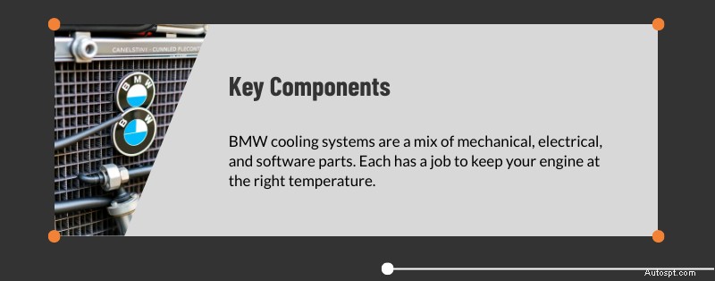 Servizio esperto di sistemi di raffreddamento BMW a Dallas e Plano, TX 