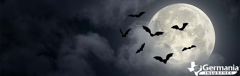 Le 6 creature misteriose ma innocue del Texas che dovresti conoscere 