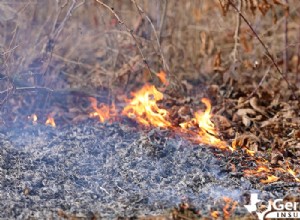 Comprendere le cause degli incendi e la loro rapida diffusione:fattori chiave e prevenzione 