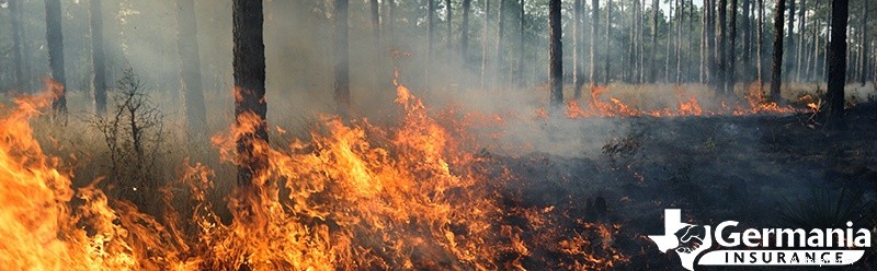 Comprendere le cause degli incendi e la loro rapida diffusione:fattori chiave e prevenzione 
