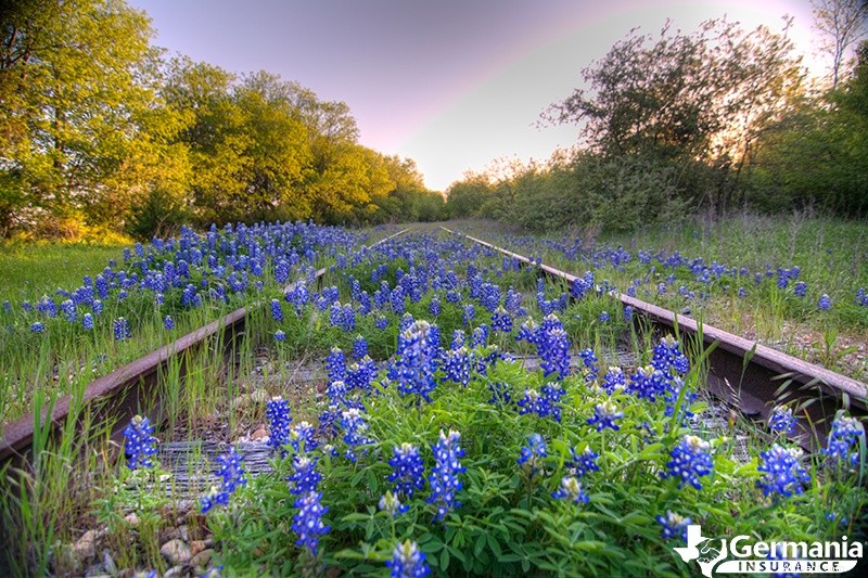Scopri le 10 destinazioni più perfette per Instagram del Texas 