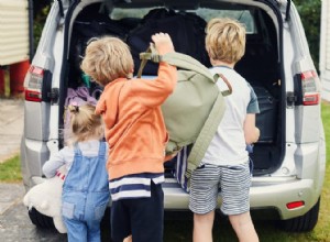 Pianifica il tuo prossimo viaggio in famiglia in tutta sicurezza e comfort 