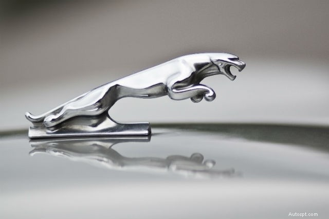 Dagli accenti iconici ai tesori rari:la storia degli ornamenti per il cofano delle auto 