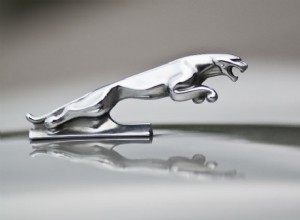 Dagli accenti iconici ai tesori rari:la storia degli ornamenti per il cofano delle auto 