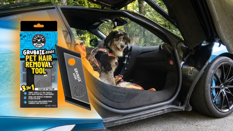 Mantieni la tua auto immacolata:il miglior depilatore per animali domestici per proprietari di cani 