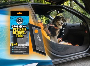 Mantieni la tua auto immacolata:il miglior depilatore per animali domestici per proprietari di cani 
