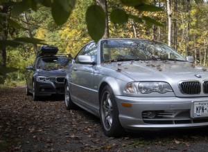 Mantieni la vernice della tua auto intatta:rimuovi immediatamente le foglie cadute 