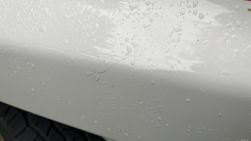 Mantieni la vernice della tua auto intatta:rimuovi immediatamente le foglie cadute 