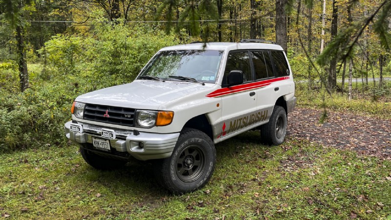Mantieni la vernice della tua auto intatta:rimuovi immediatamente le foglie cadute 