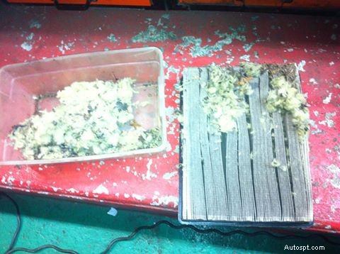 Previeni gli accensioni irregolari del motore:mantieni i filtri dell aria liberi dai topi 