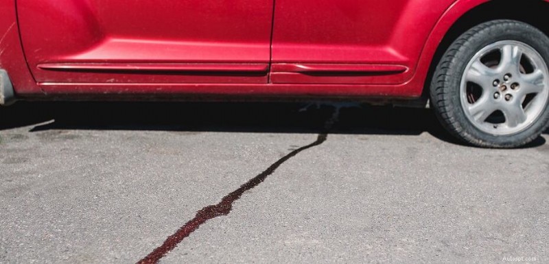 Perché la tua auto perde acqua:cause comuni e soluzioni semplici 