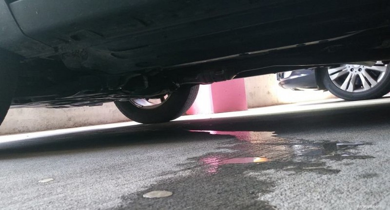 Perché la tua auto perde acqua:cause comuni e soluzioni semplici 