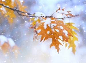 Tempistica degli pneumatici invernali:consigli degli esperti per un cambio stagionale sicuro 